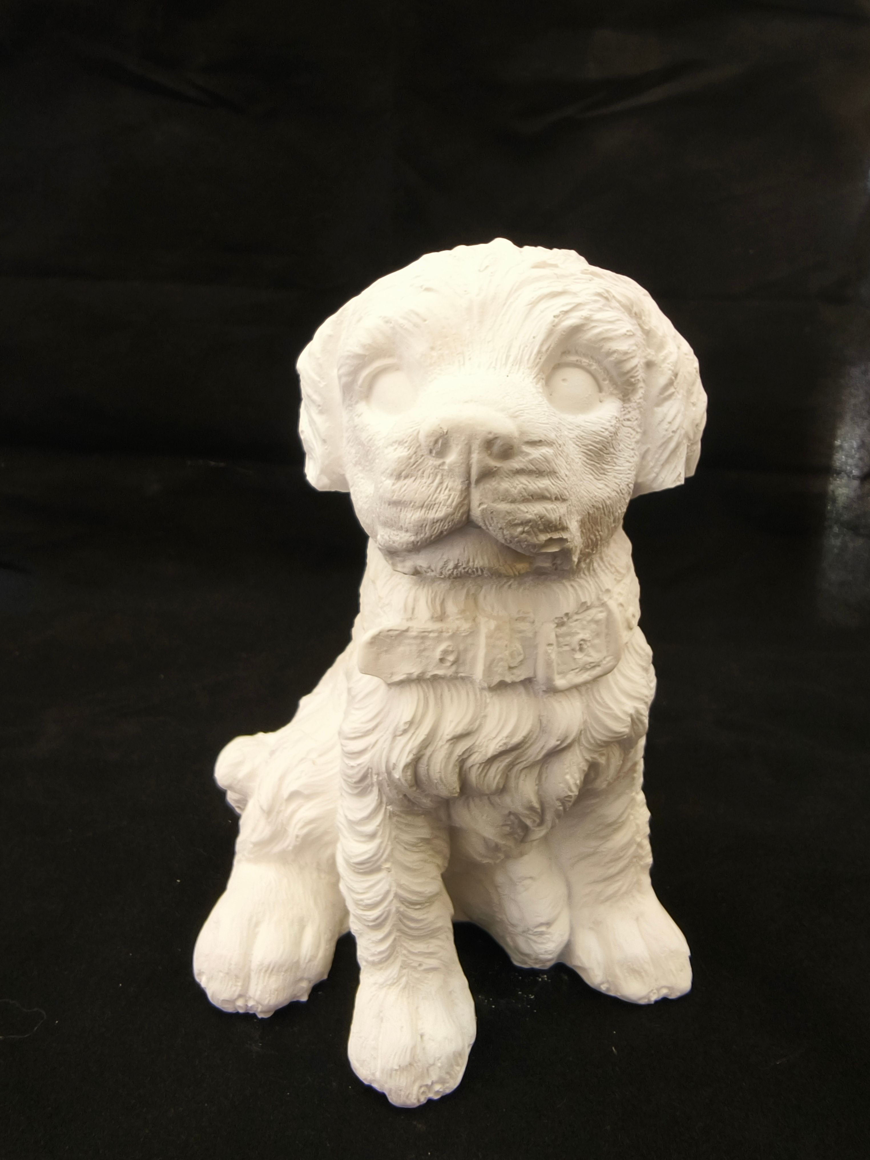 Köpek Biblo