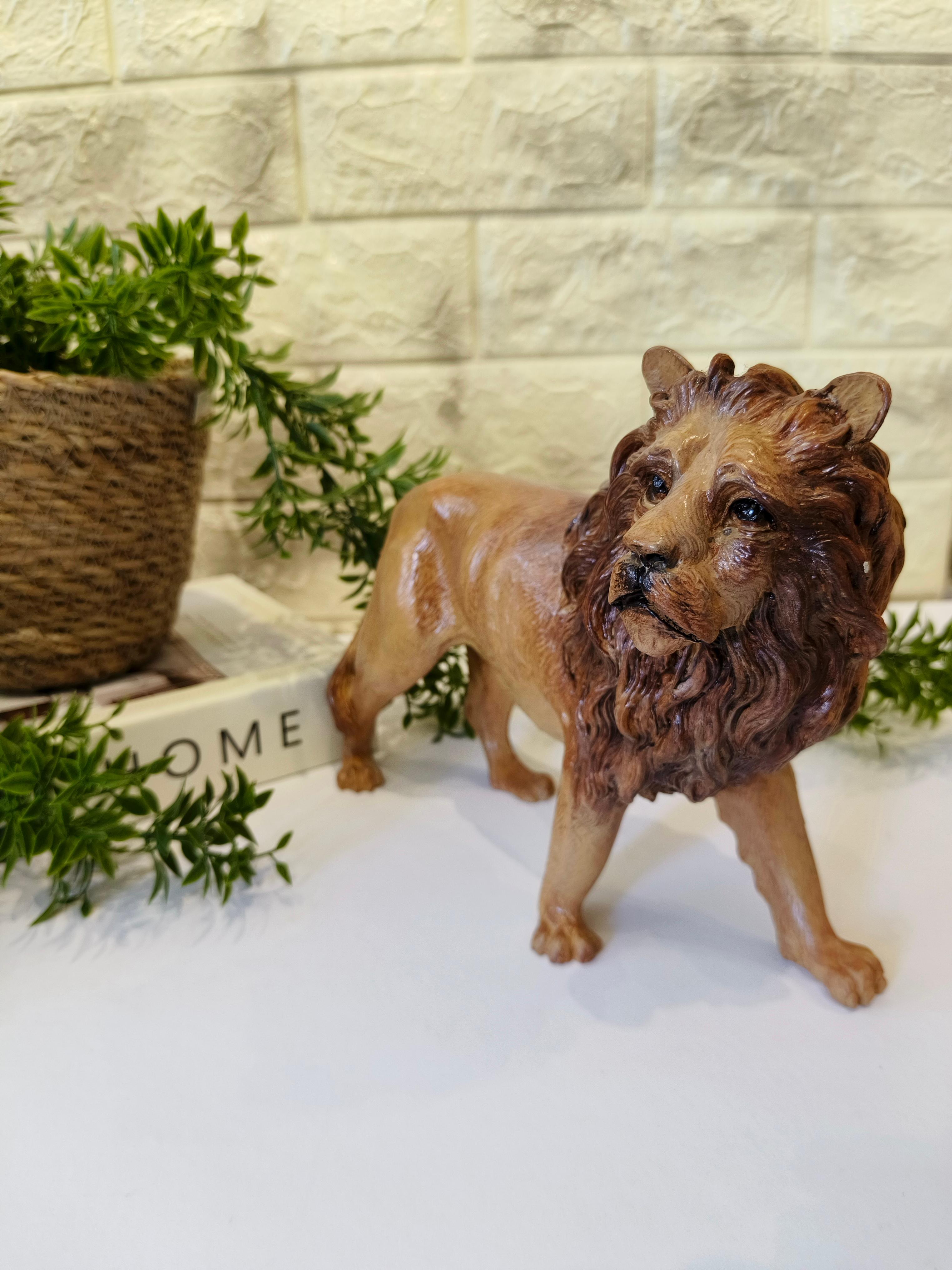 Aslan Biblo