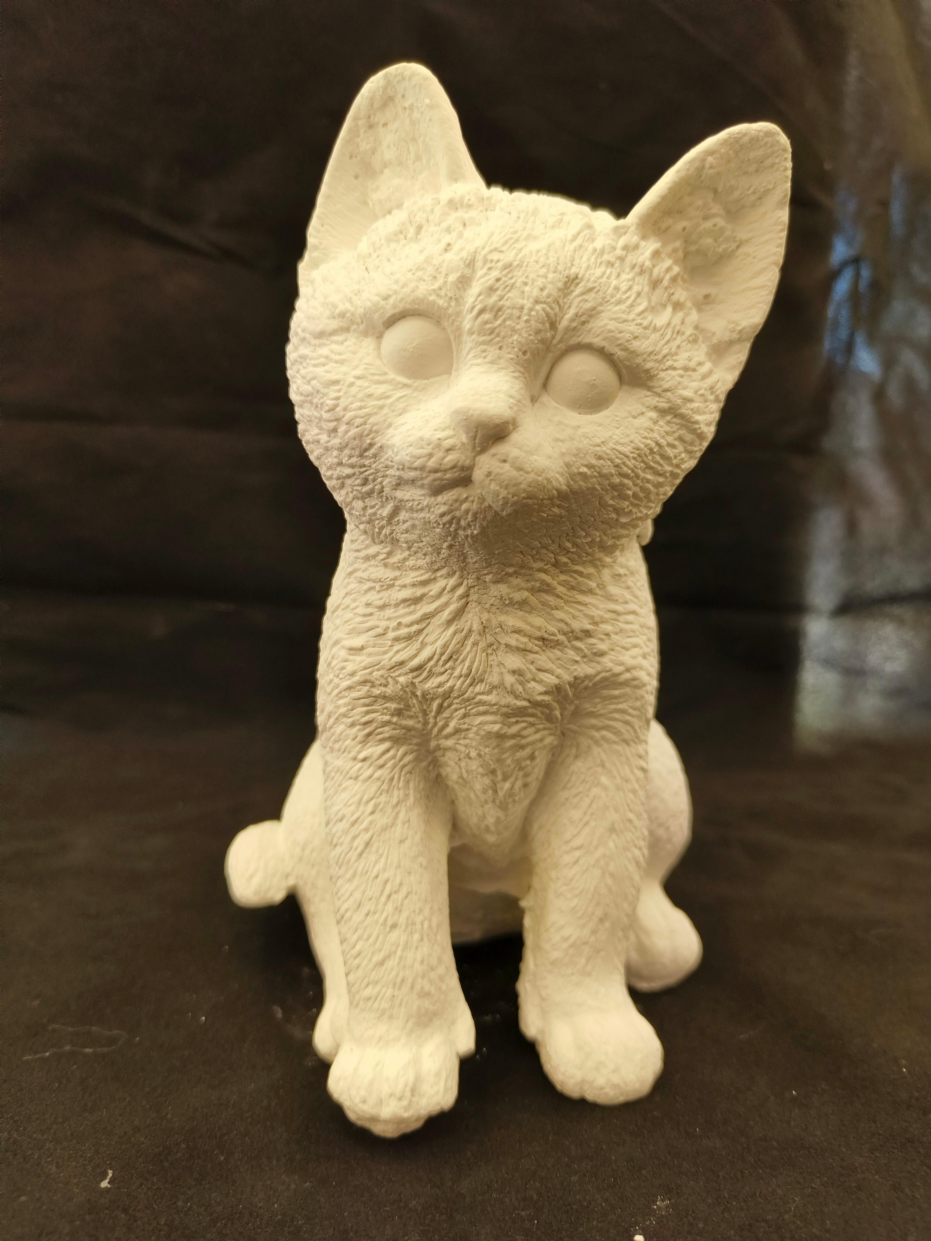 Kedi Biblo