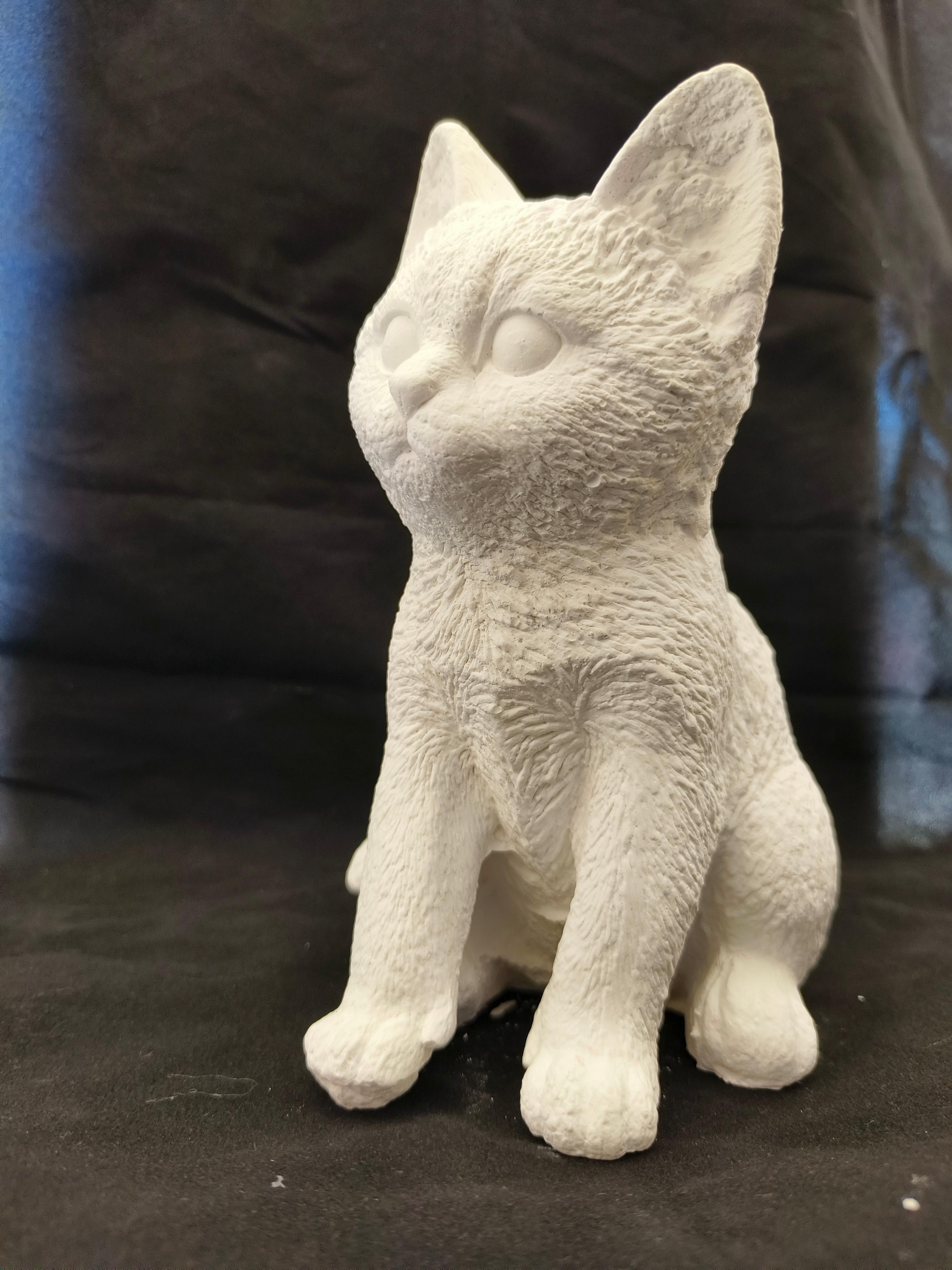 Kedi Biblo