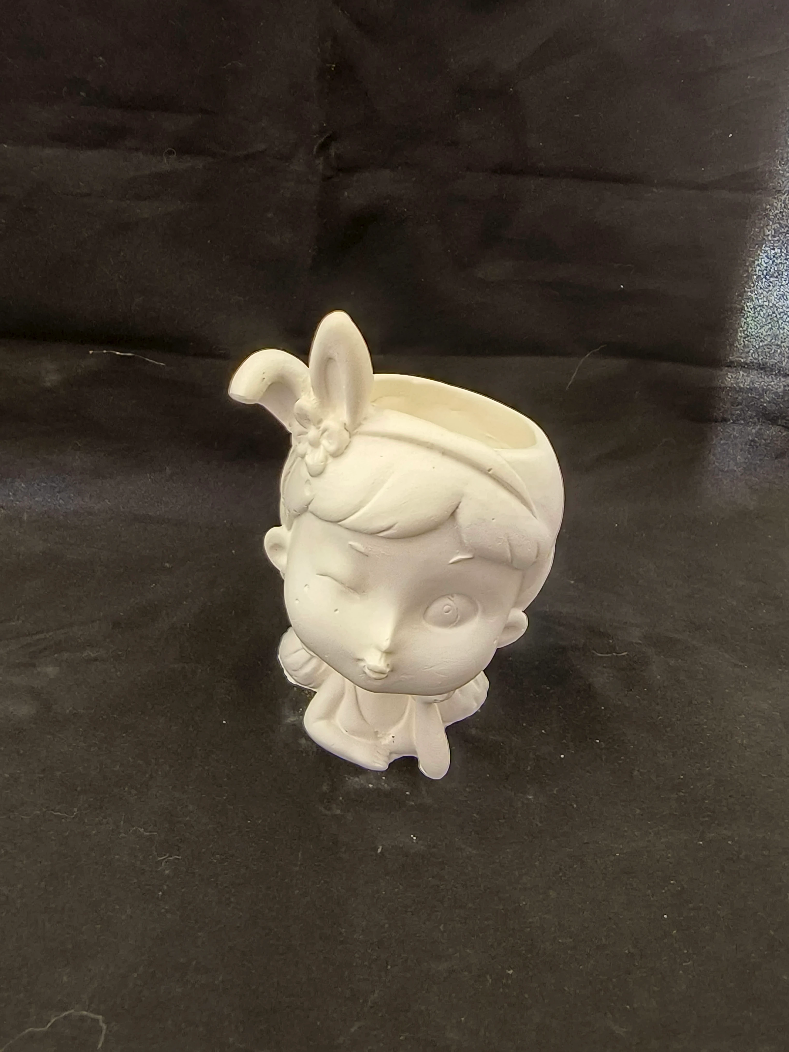 Göz Kırpan Kız Sukulent Saksı