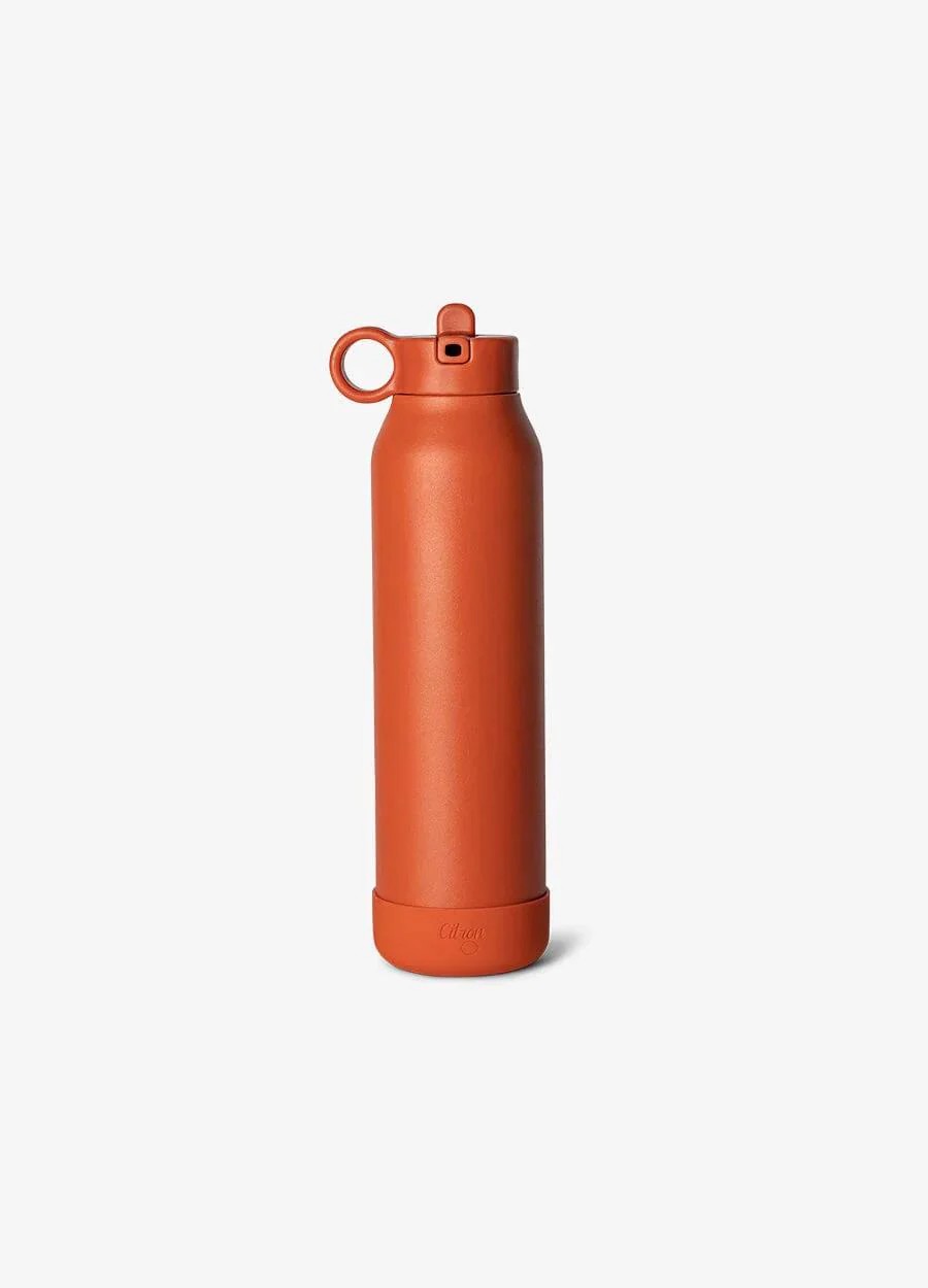 Citron 3 Katmanlı Paslanmaz Çelik Termos Seti 500 ml - Brick