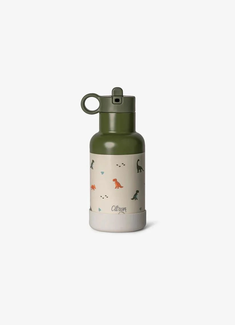 Citron 3 Katmanlı Paslanmaz Çelik Termos Seti 350 ml - Dino