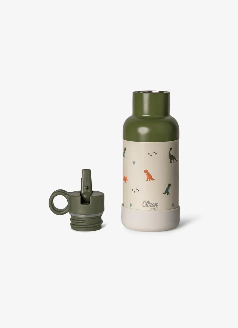 Citron 3 Katmanlı Paslanmaz Çelik Termos Seti 350 ml - Dino