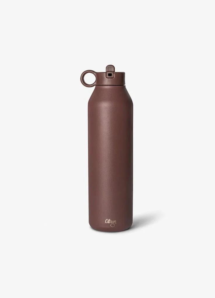 Citron 3 Katmanlı Paslanmaz Çelik Termos Seti 750 ml - Plum