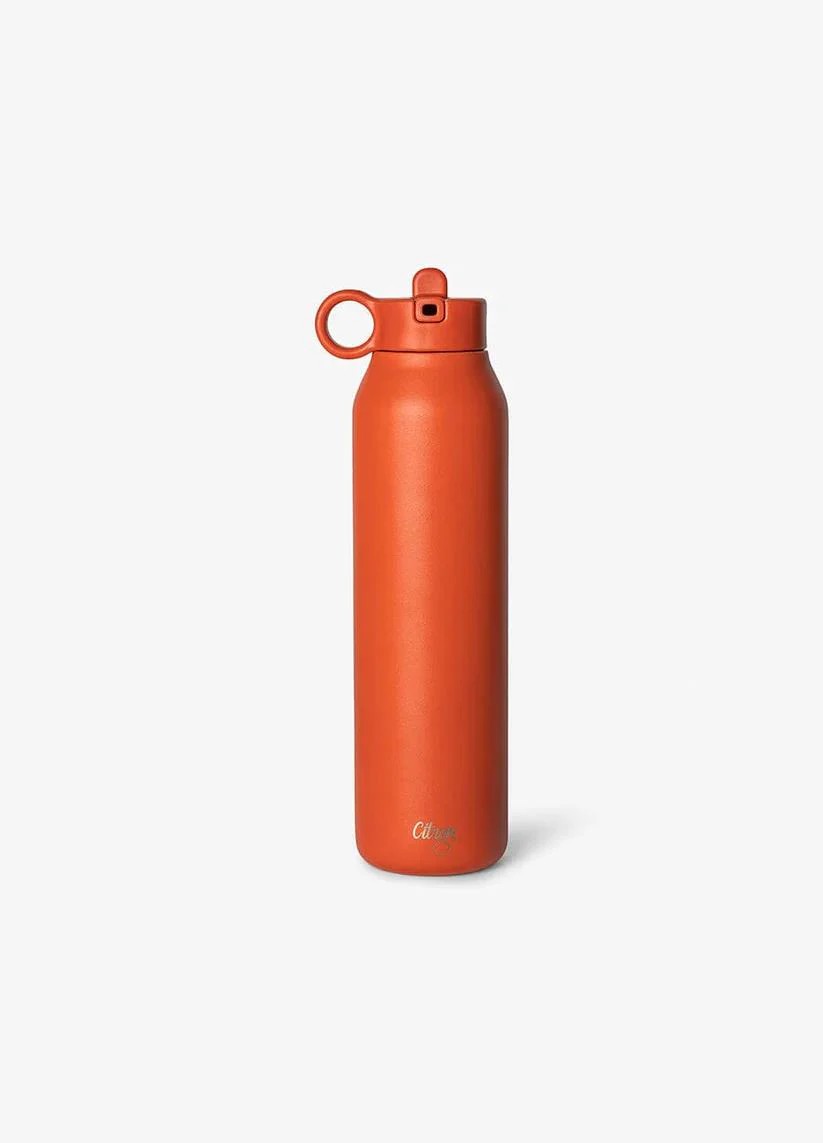 Citron 3 Katmanlı Paslanmaz Çelik Termos Seti 500 ml - Brick