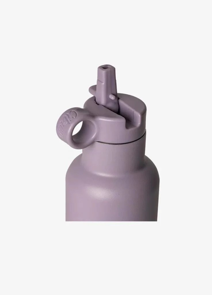 Citron 3 Katmanlı Paslanmaz Çelik Termos Seti 750 ml - Purple
