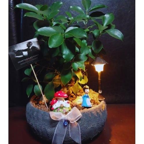 ÖĞRETMENLER GÜNÜ ÖZEL ARANJMAN SERİSİ 12