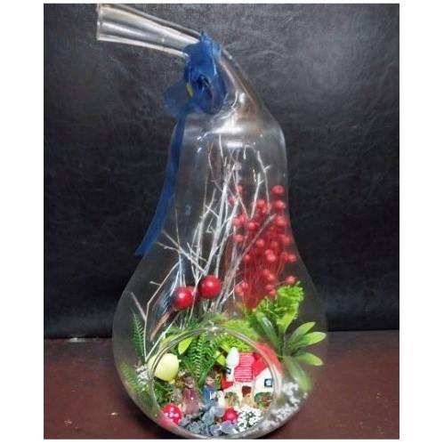 ÖĞRETMENLER GÜNÜ ÖZEL TERRARYUM  SERİSİ 4