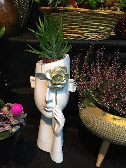 BEYAZ ÇİÇEKLİ ADAM SAKSI &SUCCULENT