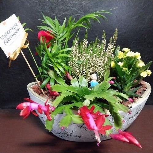 ÖĞRETMENLER GÜNÜ ÖZEL ARANJMAN SERİSİ 3