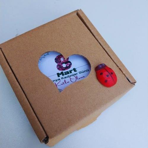 DÜNYA KADINLAR GÜNÜ TOHUM KİTİ KALPLİ KUTU MİNİMUM 25 ADET