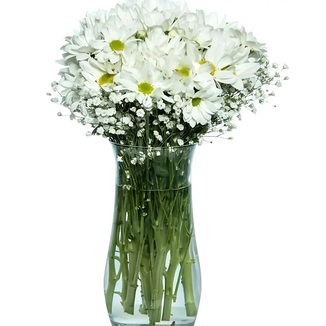 CAM VAZODA PAPATYALAR