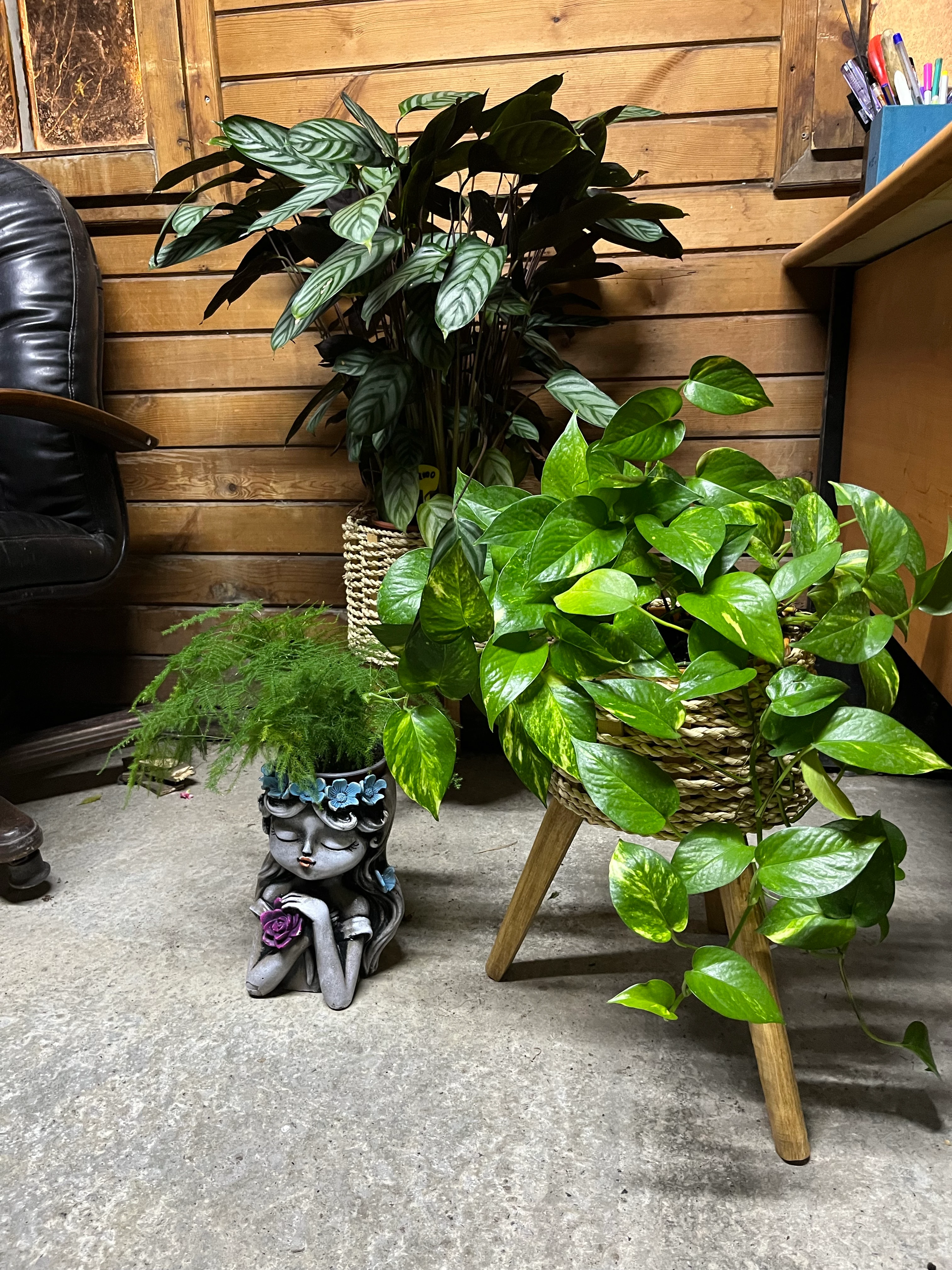 Dekoratif saksılı aranjman grubu