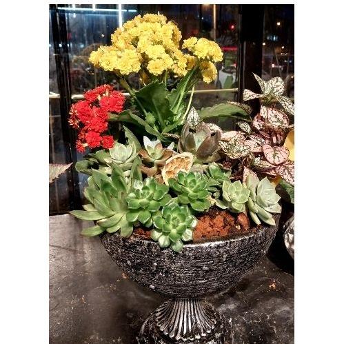 ÖĞRETMENLER GÜNÜ ÖZEL ARANJMAN SERİSİ 1