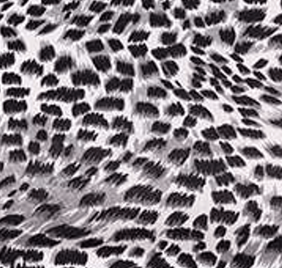 Leopar Gri