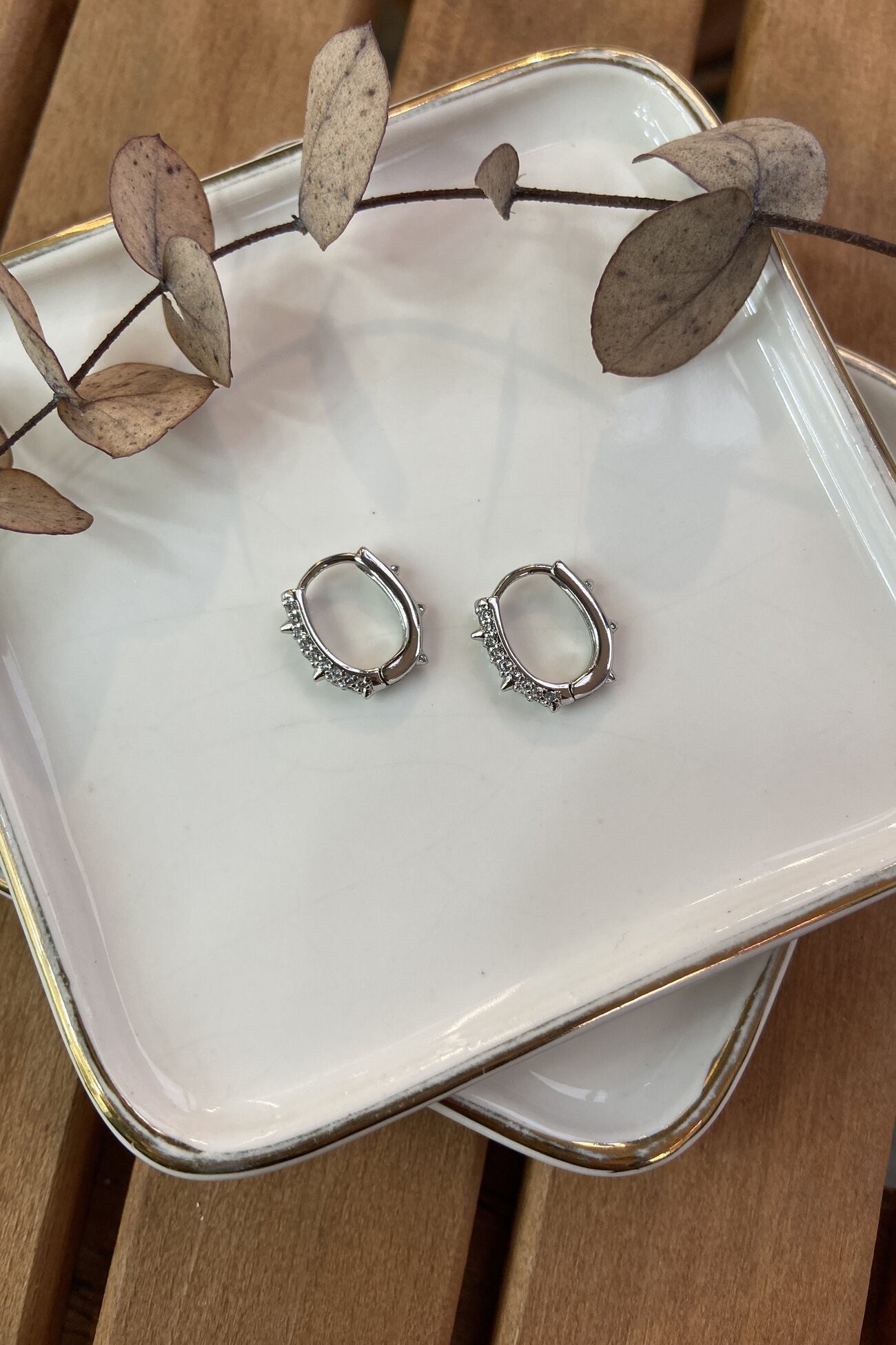 Özel Seri Oval Çıkıntılı Küpe