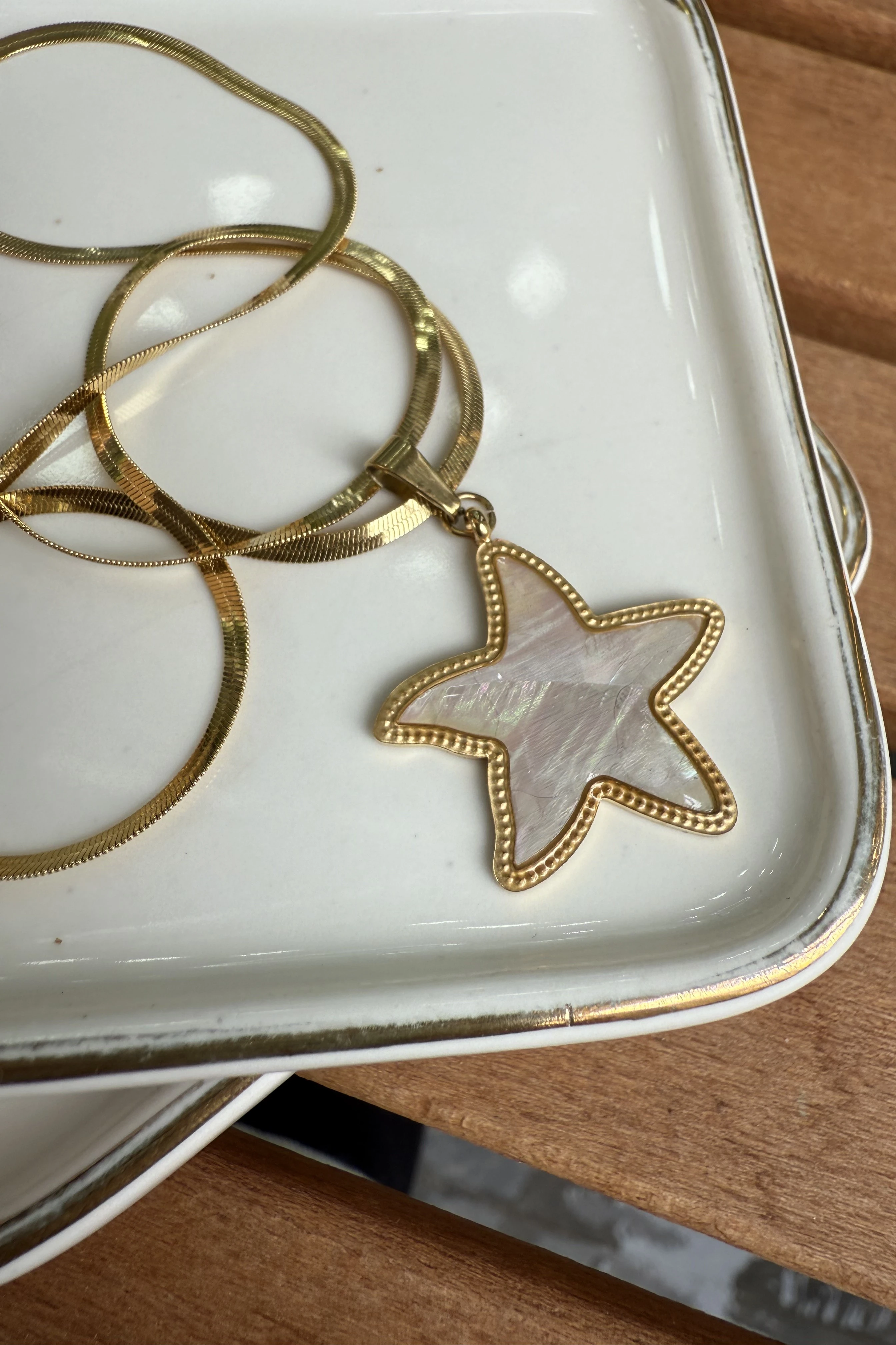 Çelik Beyaz Sedefli Deniz Yıldızı Kolye 50cm