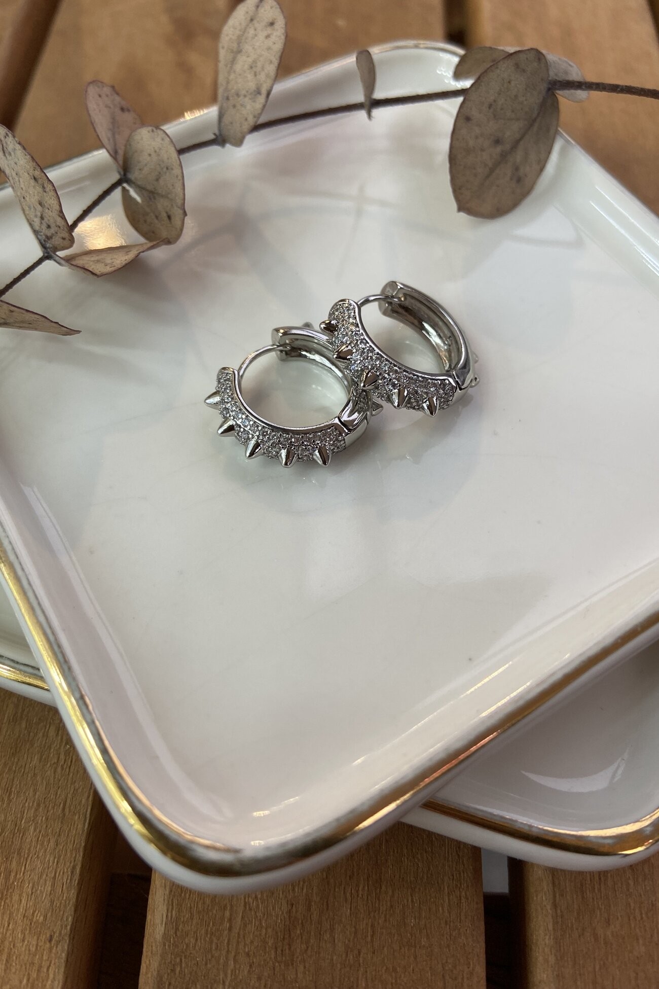 Özel Seri Küçük Boy Çıkıntılı Halka Küpe Silver