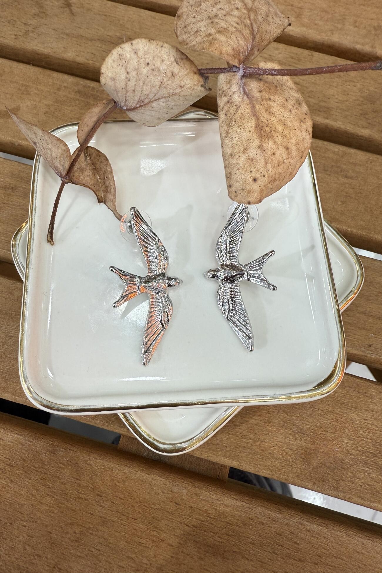 Albatros Küpe Silver
