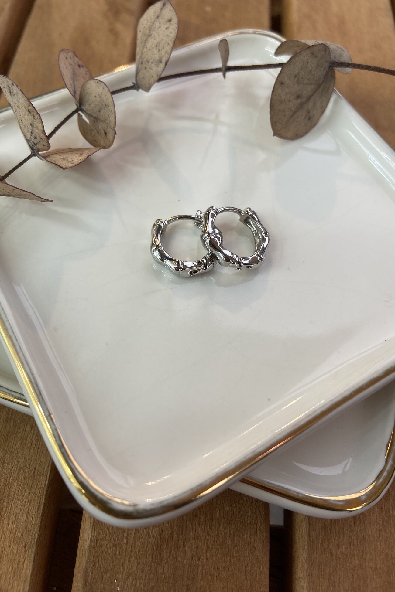 Özel Seri Minimal Kemik Küpe Silver