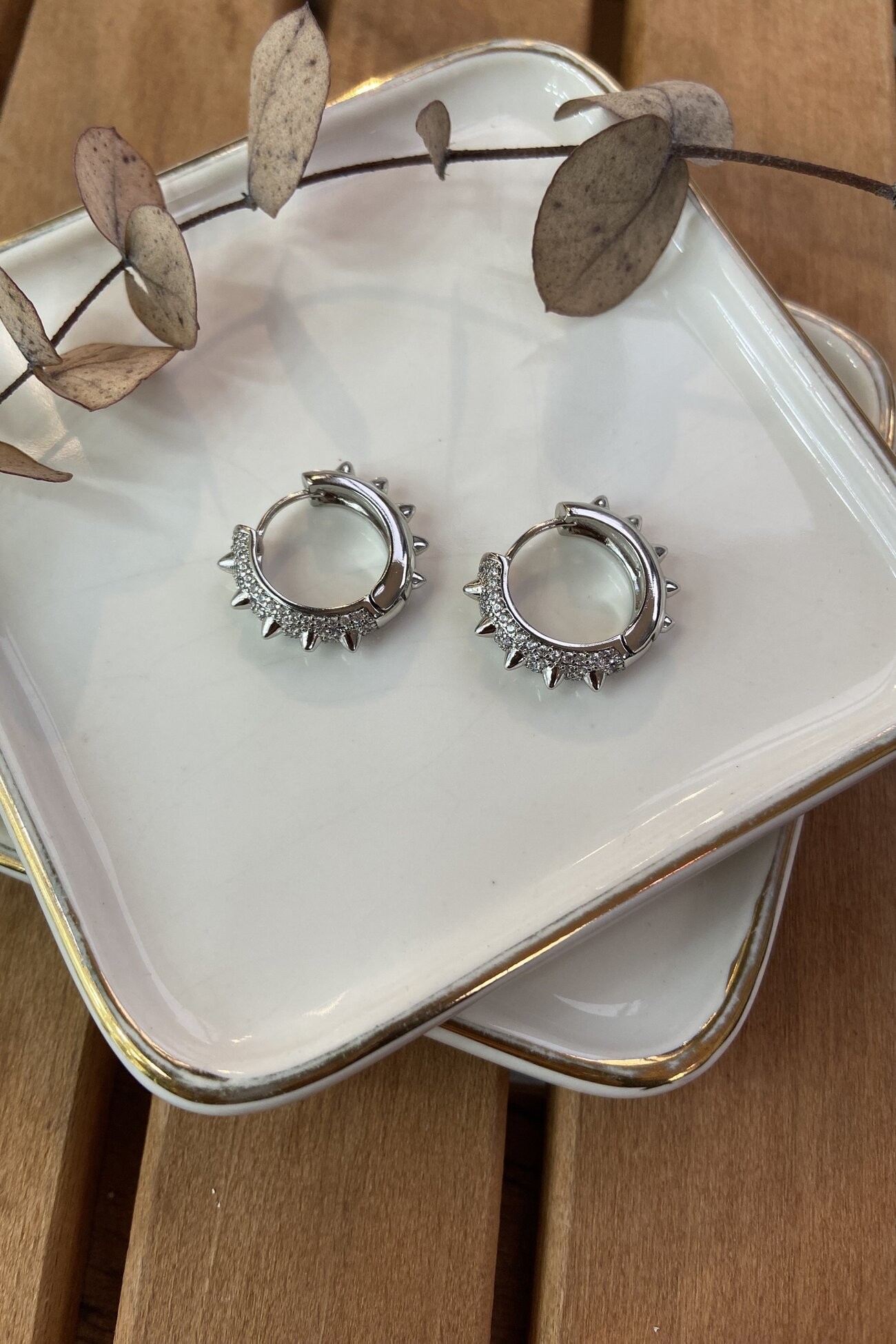 Özel Seri Küçük Boy Çıkıntılı Halka Küpe Silver
