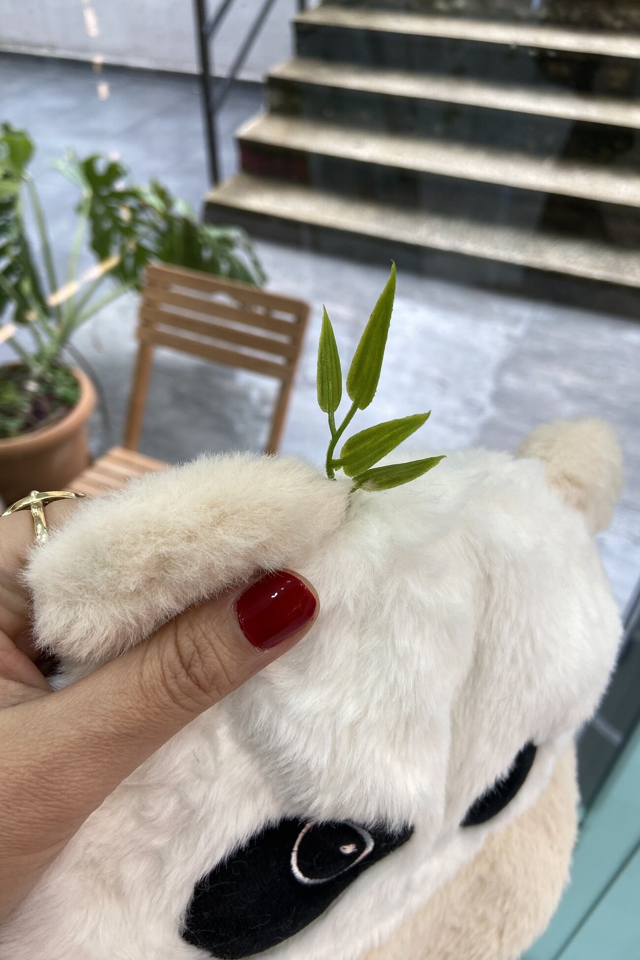 Peluş Panda Şapka