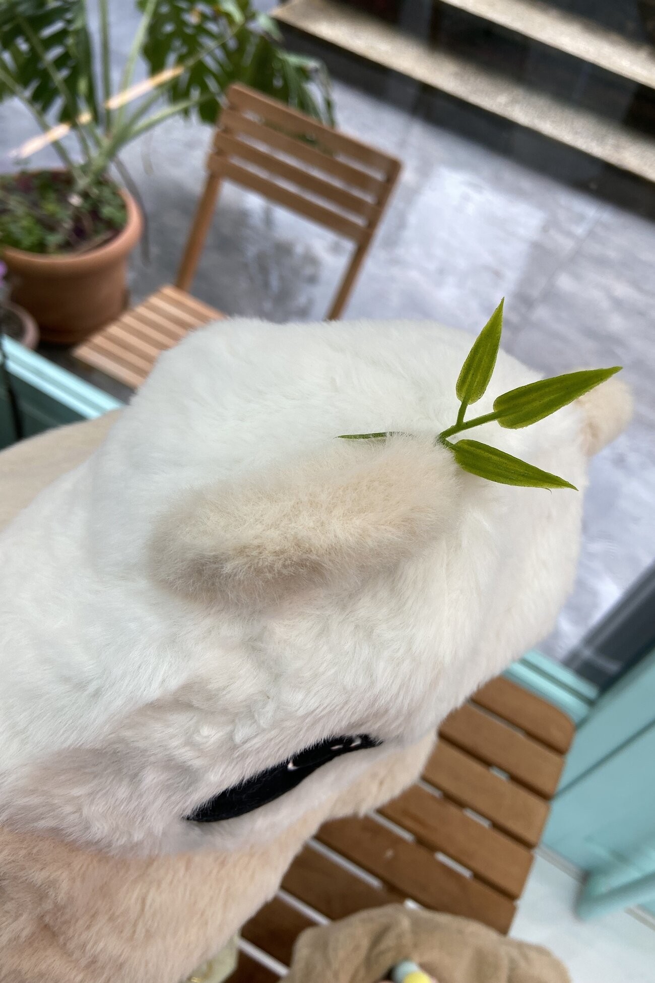 Peluş Panda Şapka