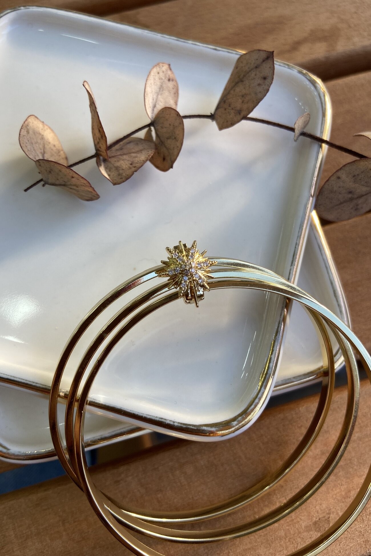 14K Altın Kaplama Taşlı Kuzey Yıldızı Charm