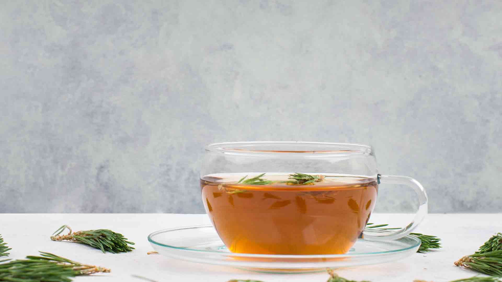 Dağ Kekiği Çayı Nasıl Yapılır? Mükemmel Demleme Tekniği ve Şifa Sırları