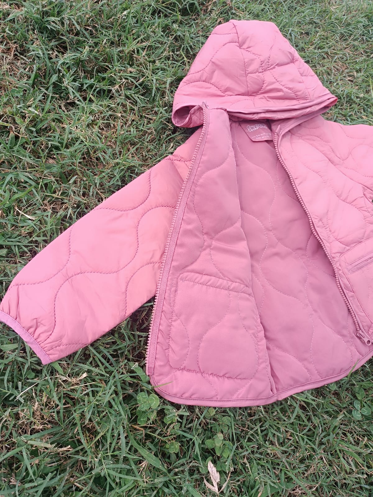 Pembe Kapitone Mont