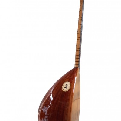 CEVİZ KISA SAP BAĞLAMA