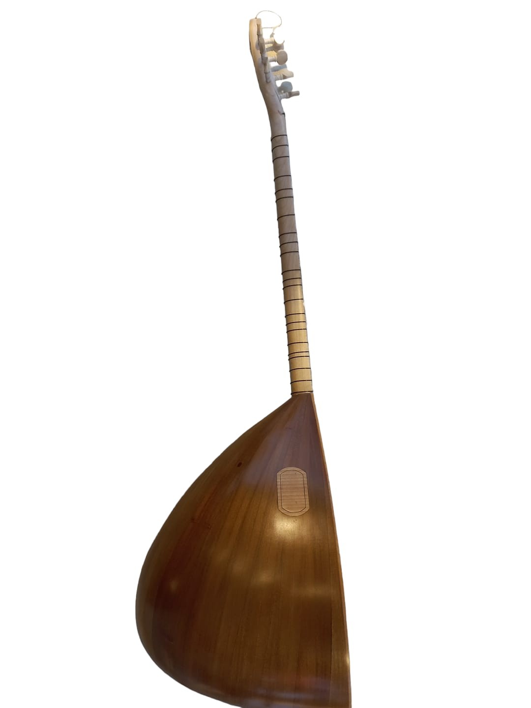 DUT UZUN SAP  BAĞLAMA