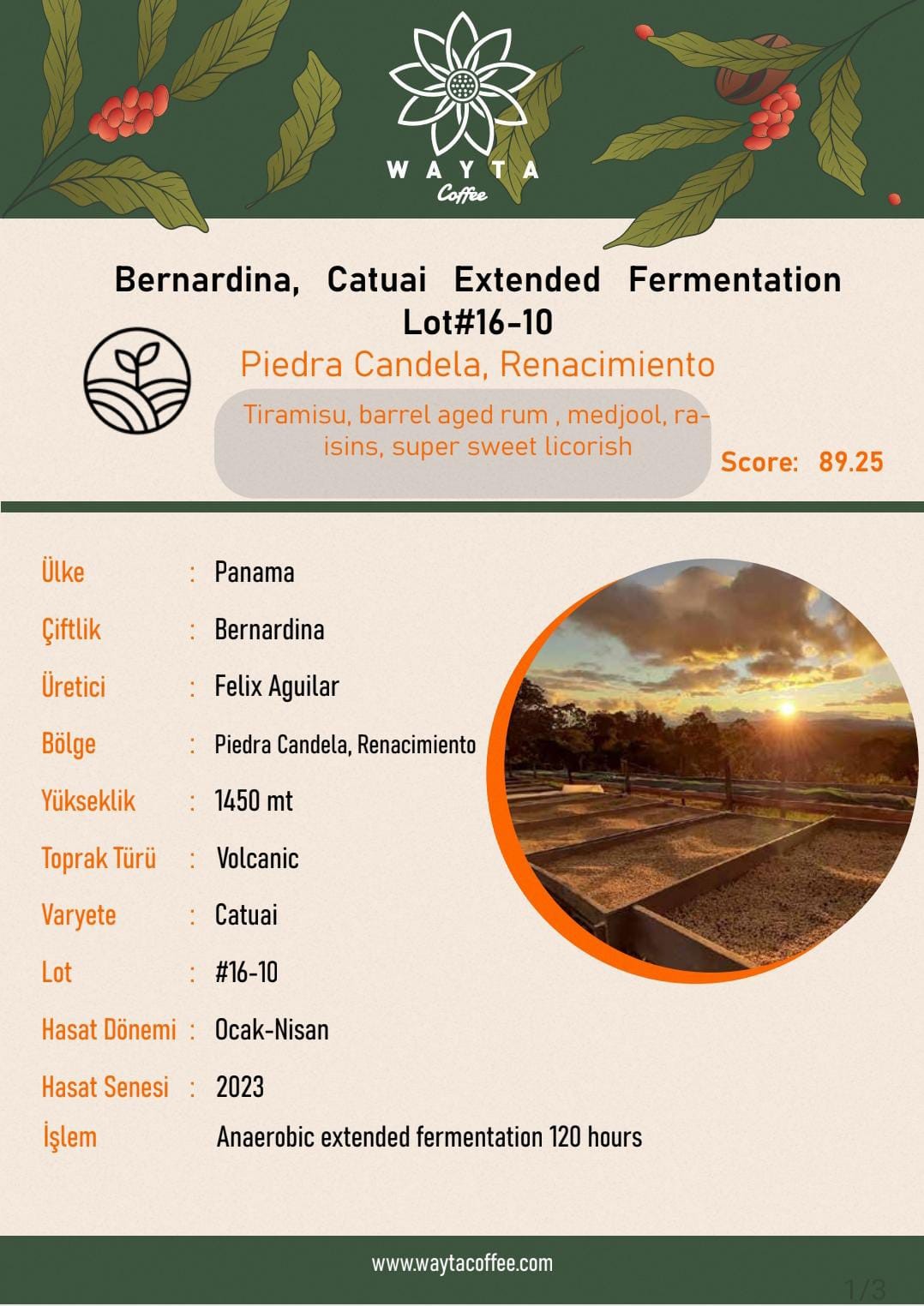 Panama-Finca Bernardina (80 Gr)