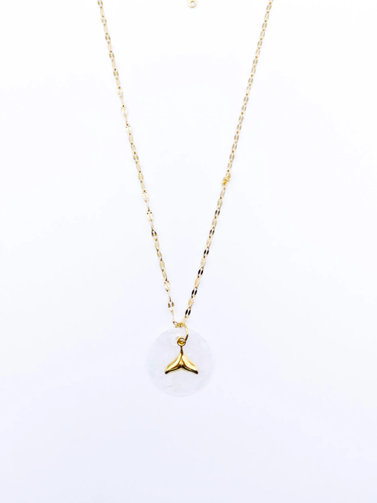 Çelik Kabuk Pullu Balık Kuyruğu Kolye