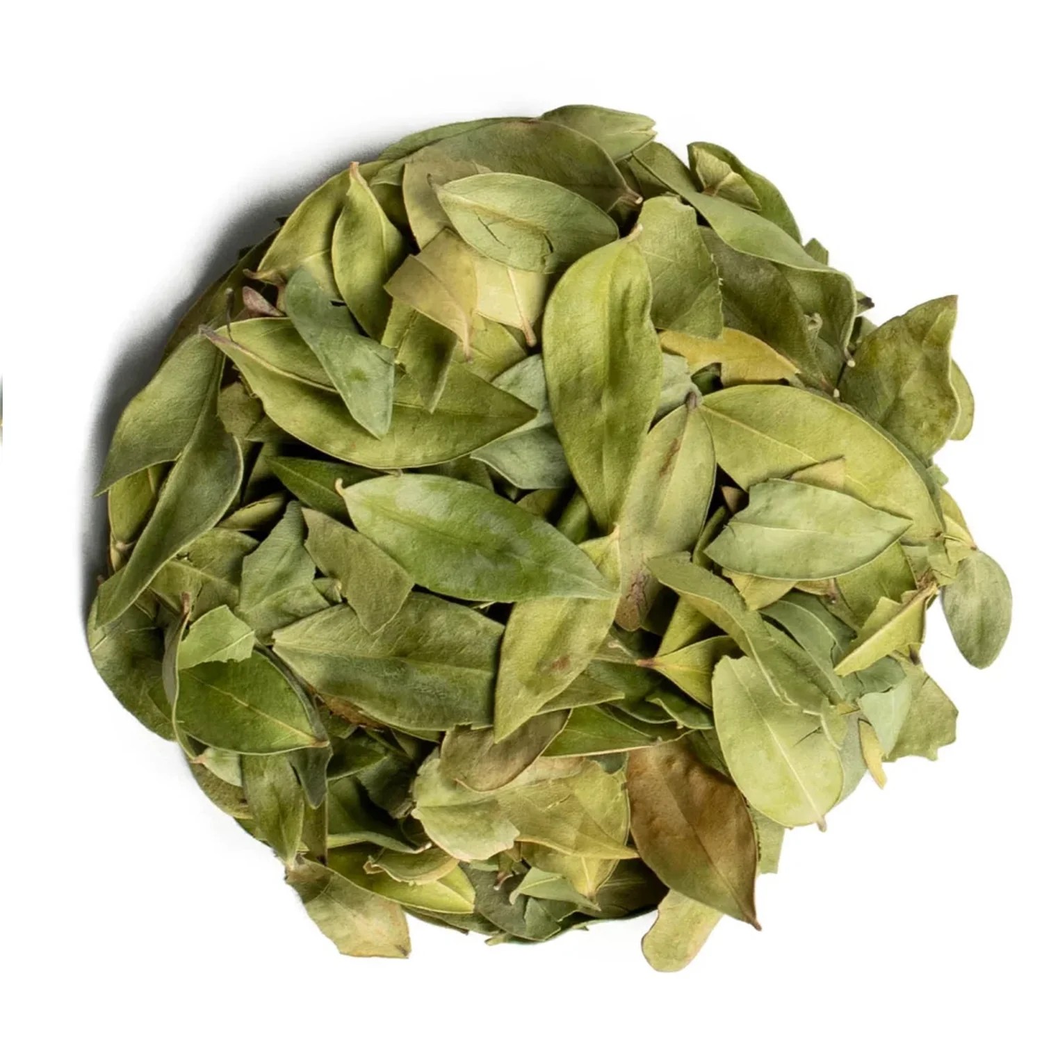 MERSİN YAPRAĞI