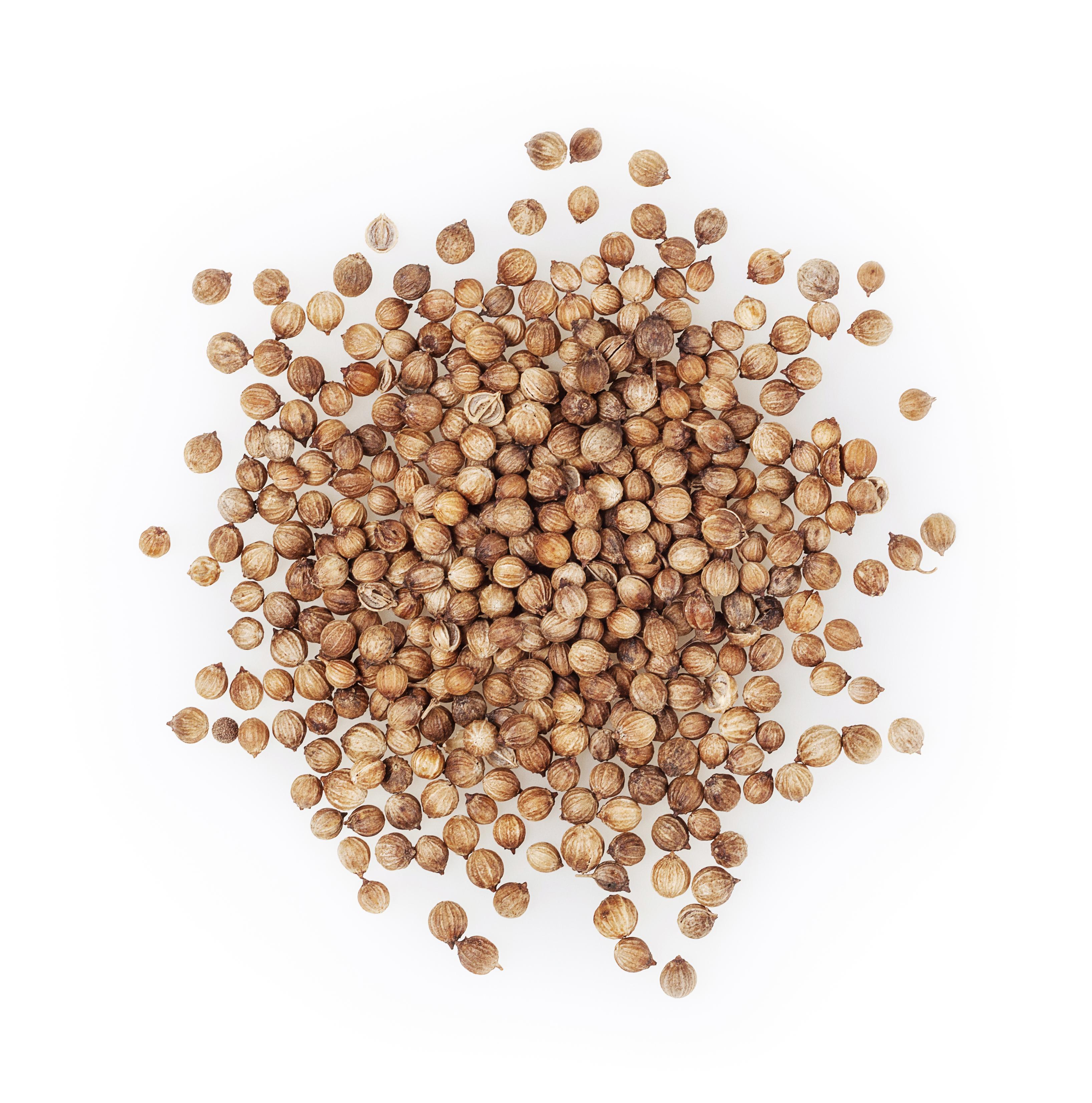 KİŞNİŞ TANE 50 GR