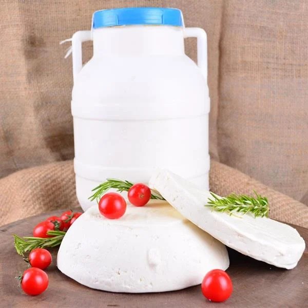 ERZİNCAN ŞAVAK BİDON KG