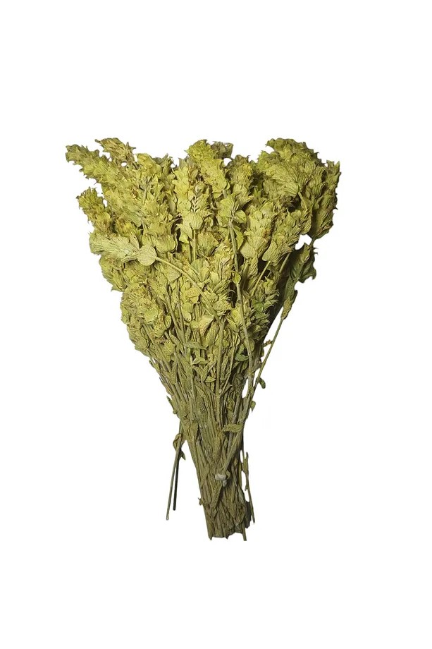 ADAÇAYI ANAMUR 20 GR