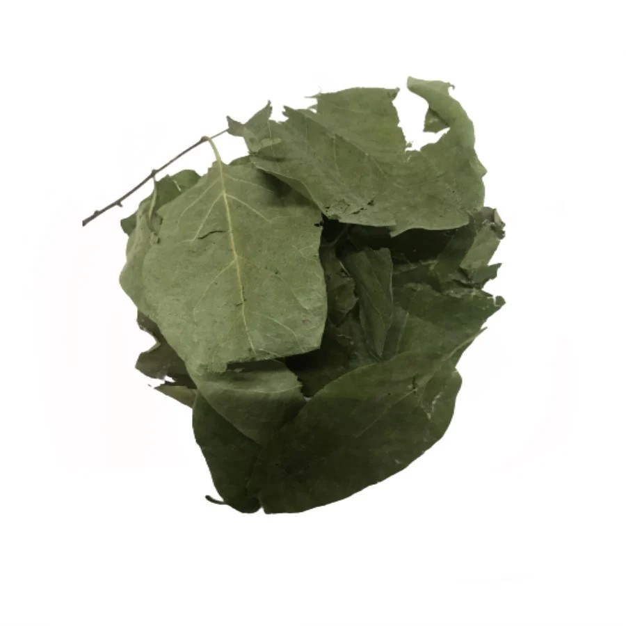 AYVA YAPRAĞI 20 GR