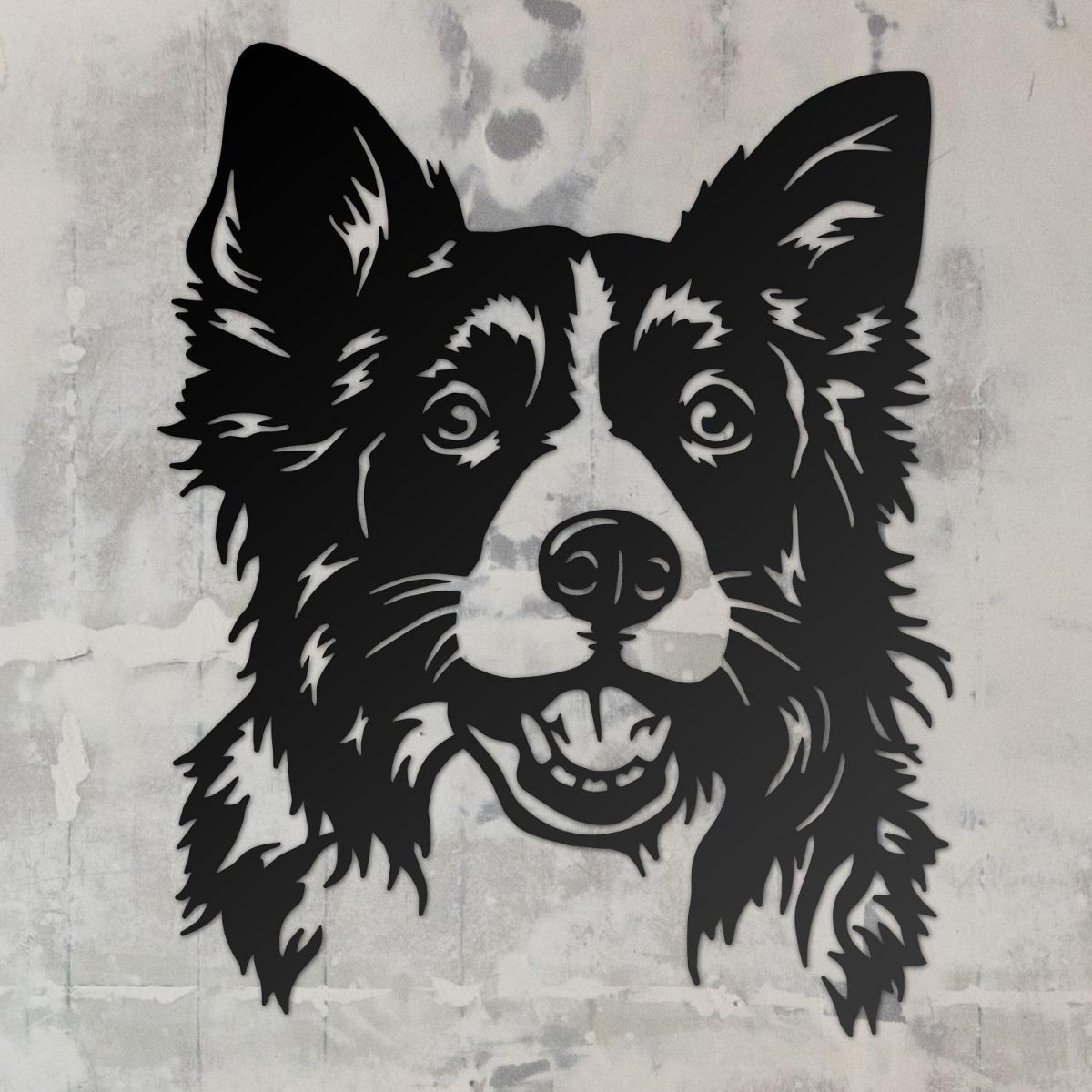 Border Collie Wall