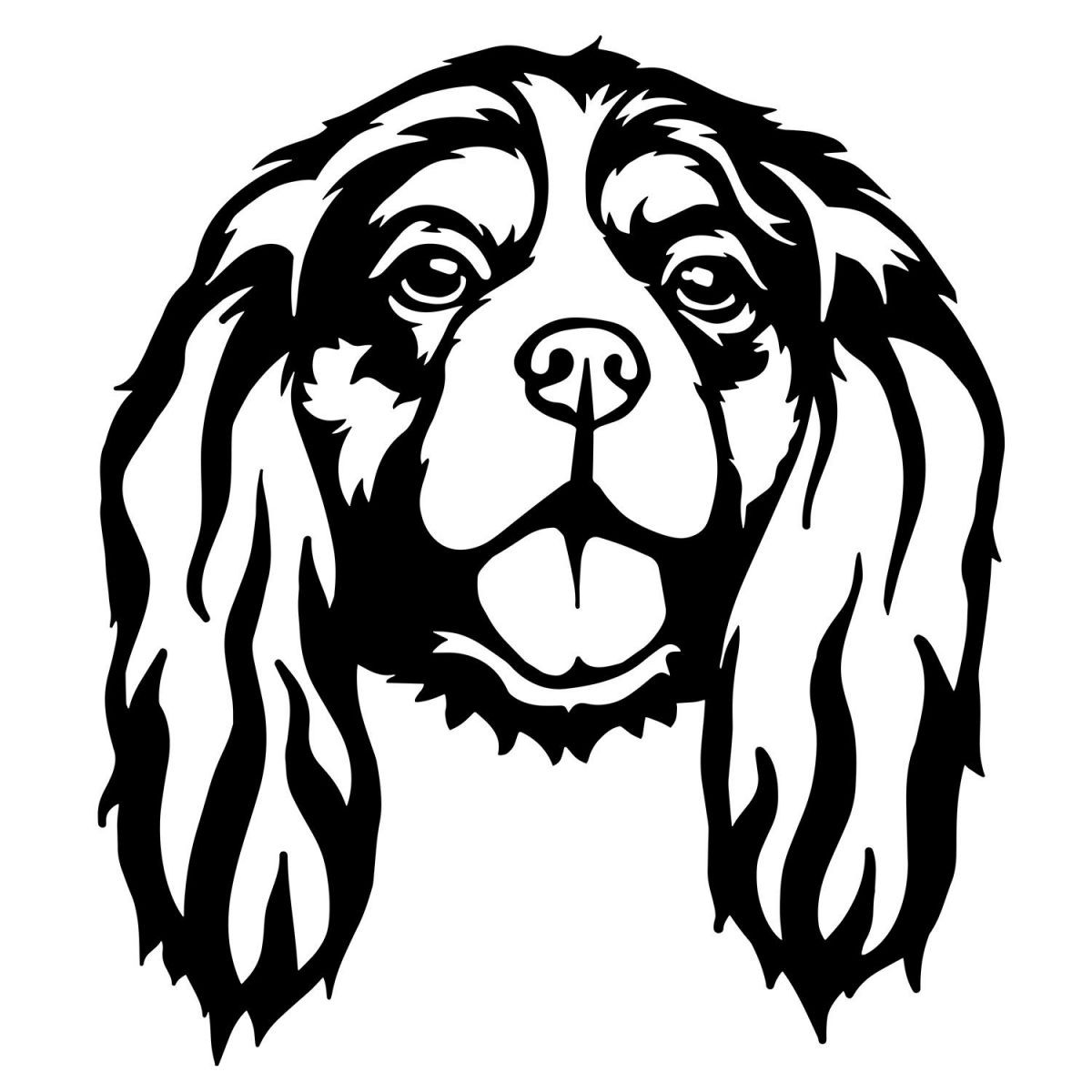 Cavalier King Charles Spaniel Duvar Dekoru