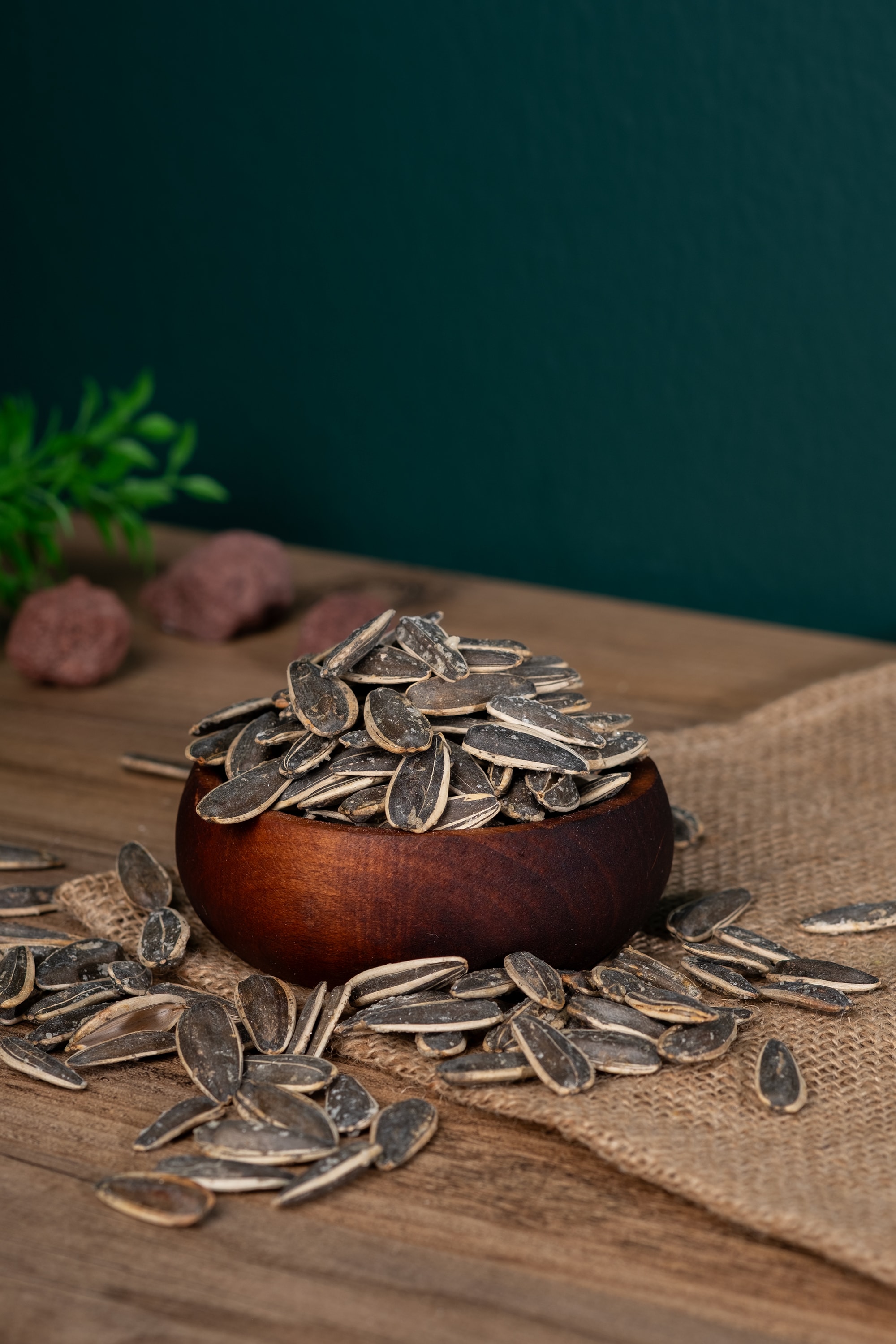 Siyah Ay Çekirdeği