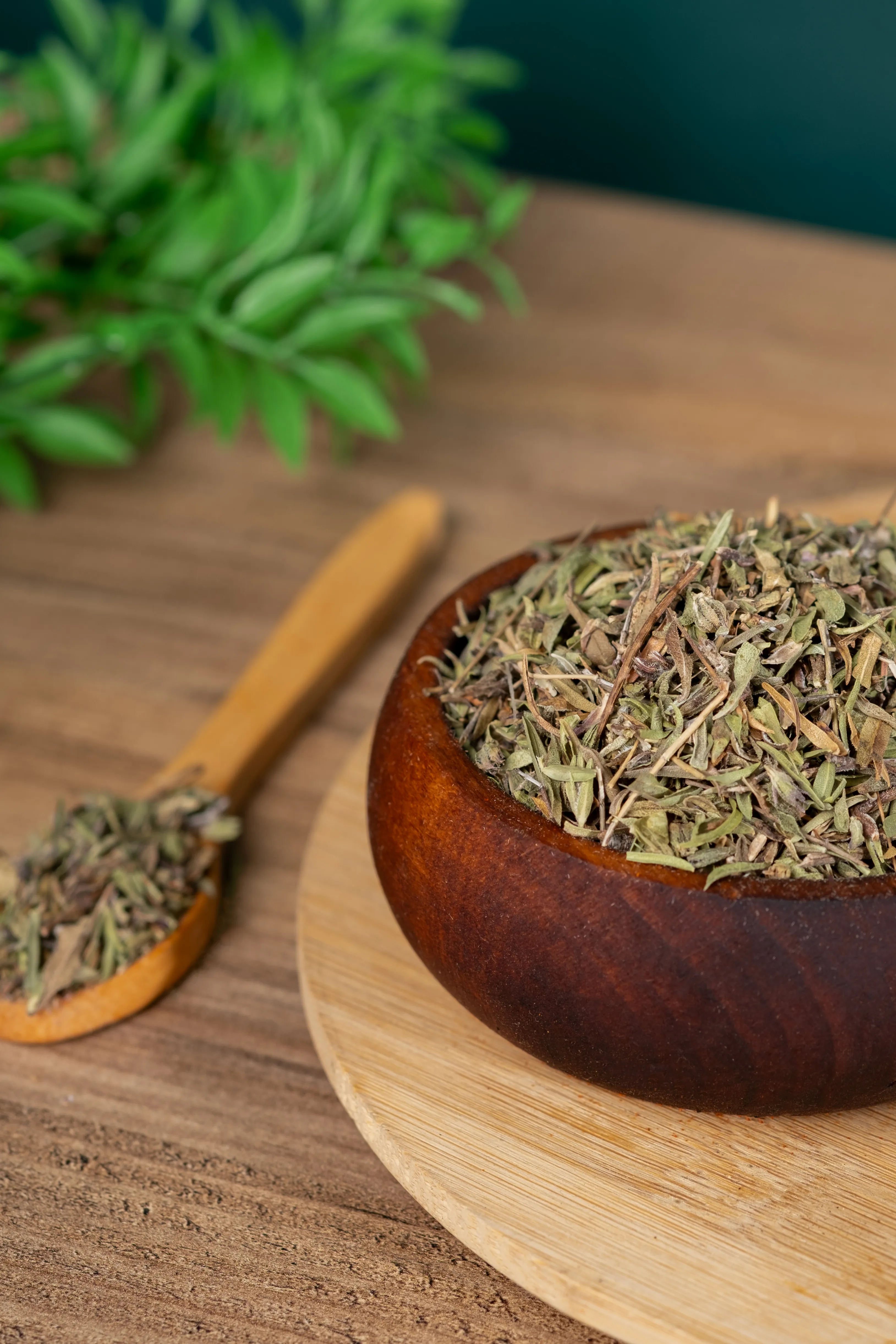 Zahter ( Dağ Kekiği )