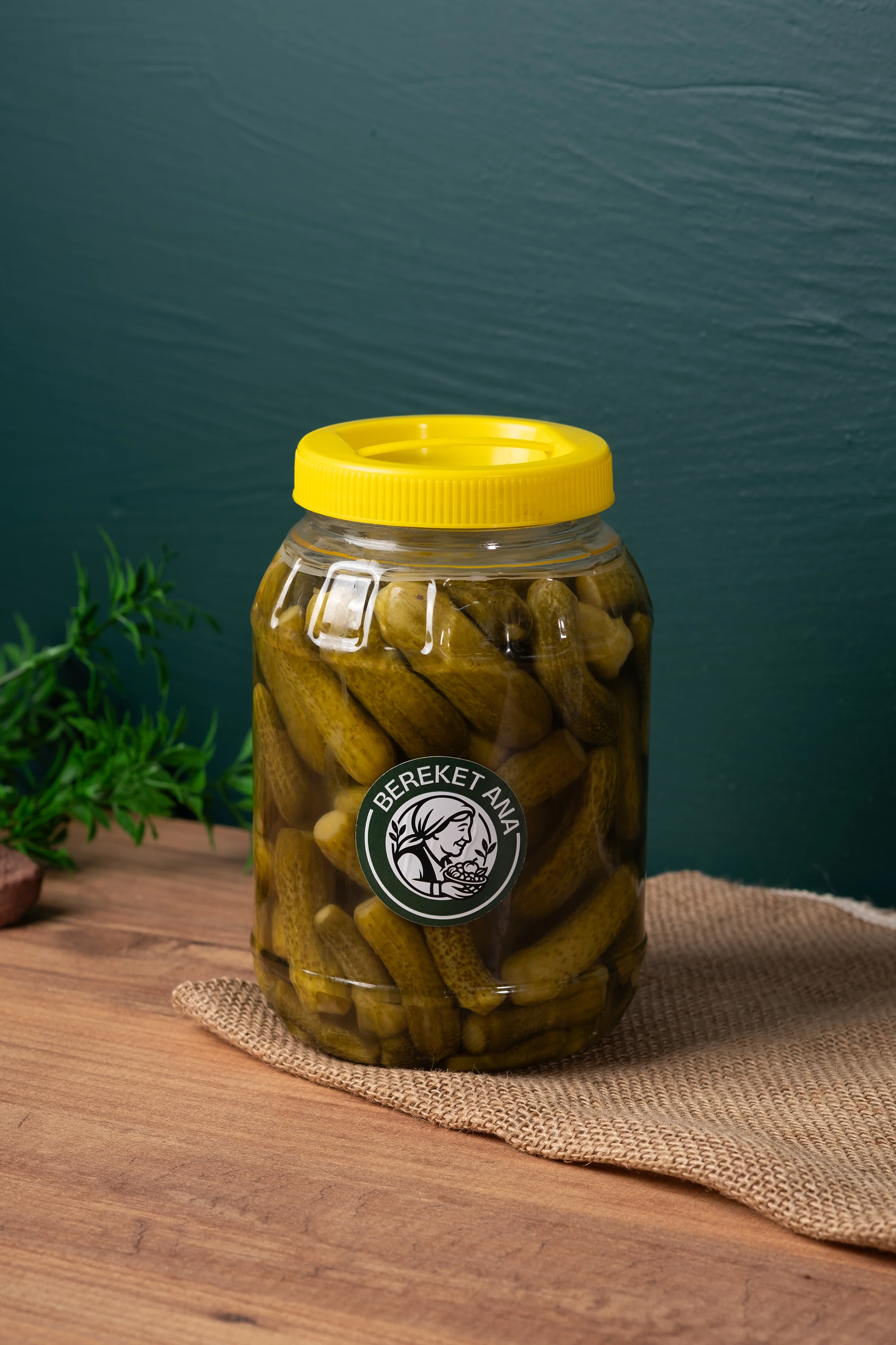 KORNİŞON TURŞUSU ( 1 KG )