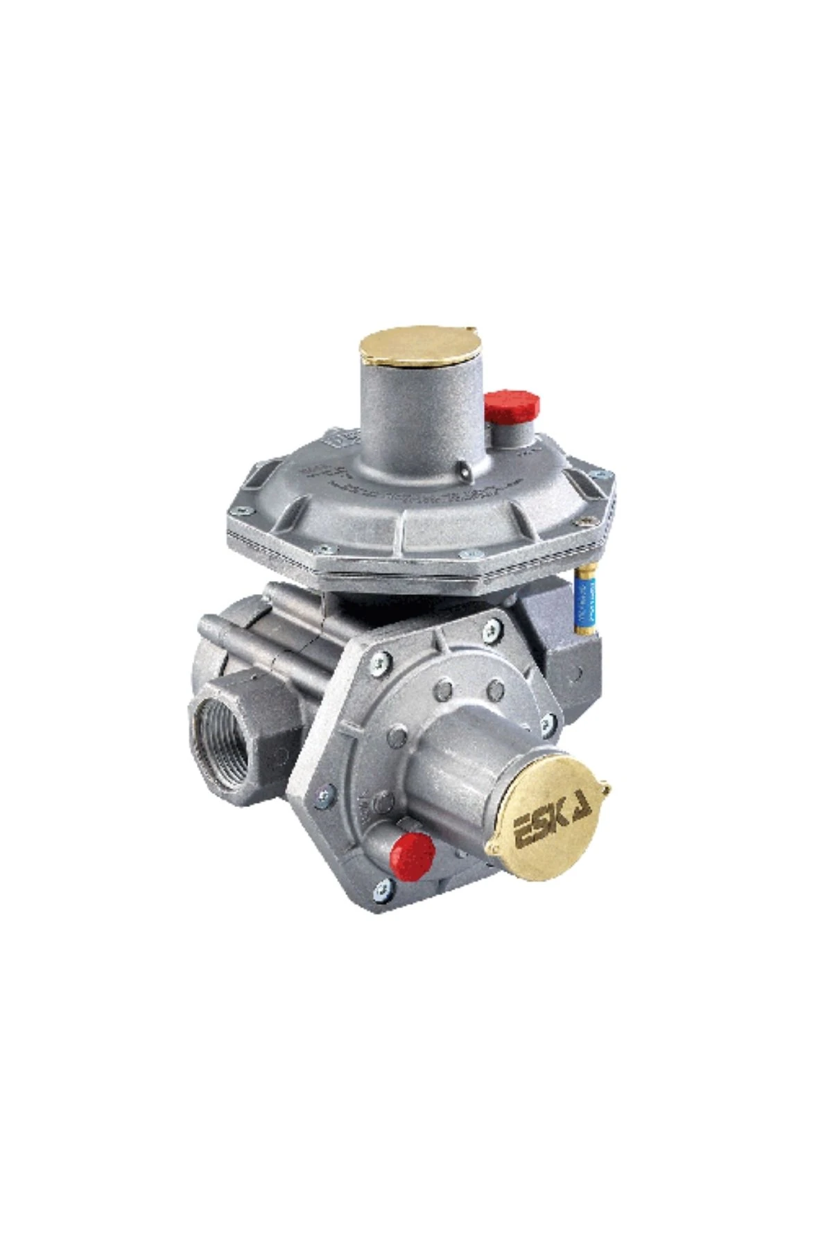 Eska S300 Kutu Seti 1,5-4 Bar DN50 Dişli Tip-1