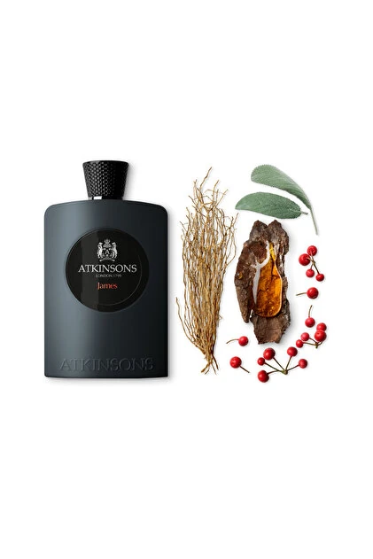 Atkinsons James 100ml EDP Erkek Parfüm