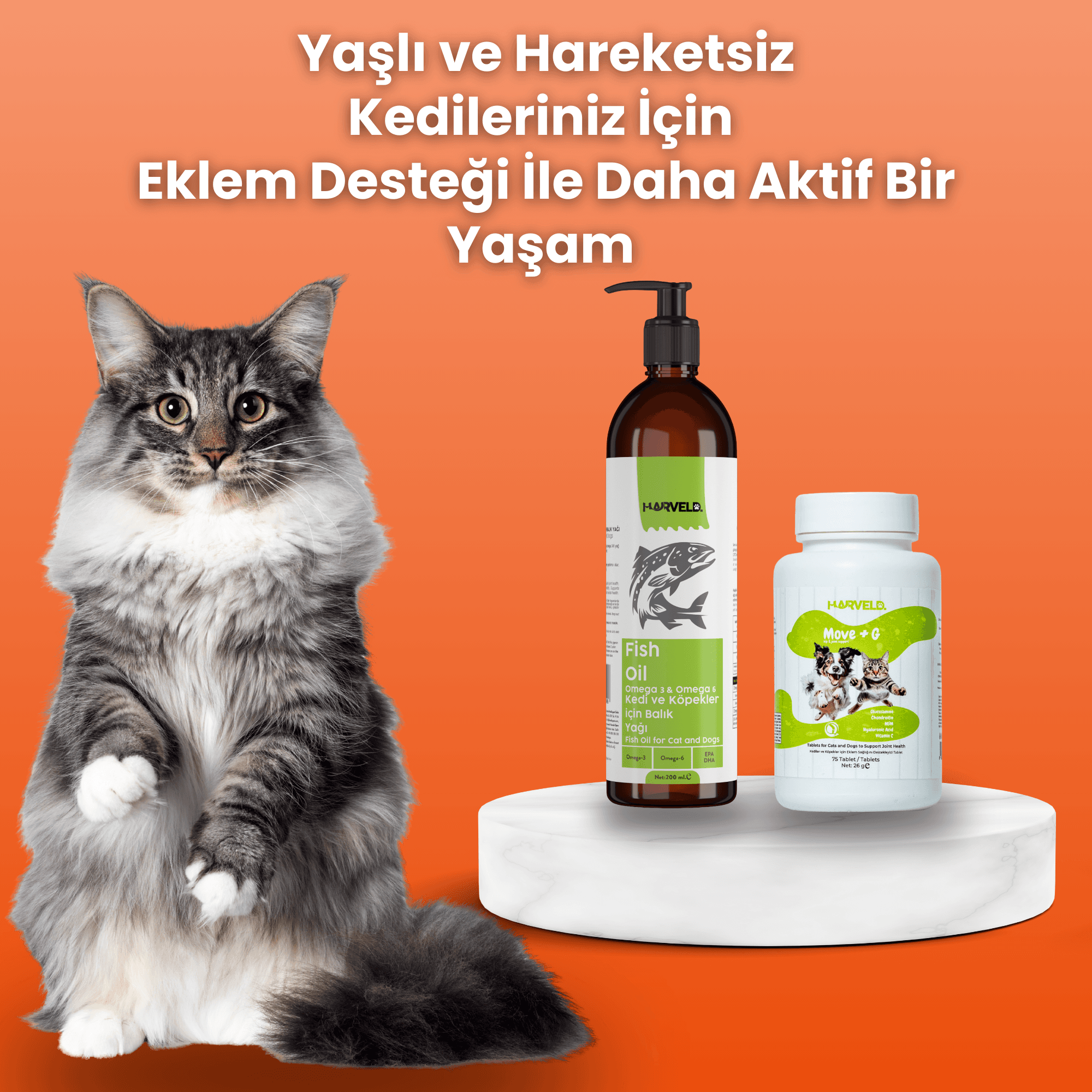 Harveld Kedinizin Genel Sağlığı Için Kedi Bakım Seti Move G - Fish Oil
