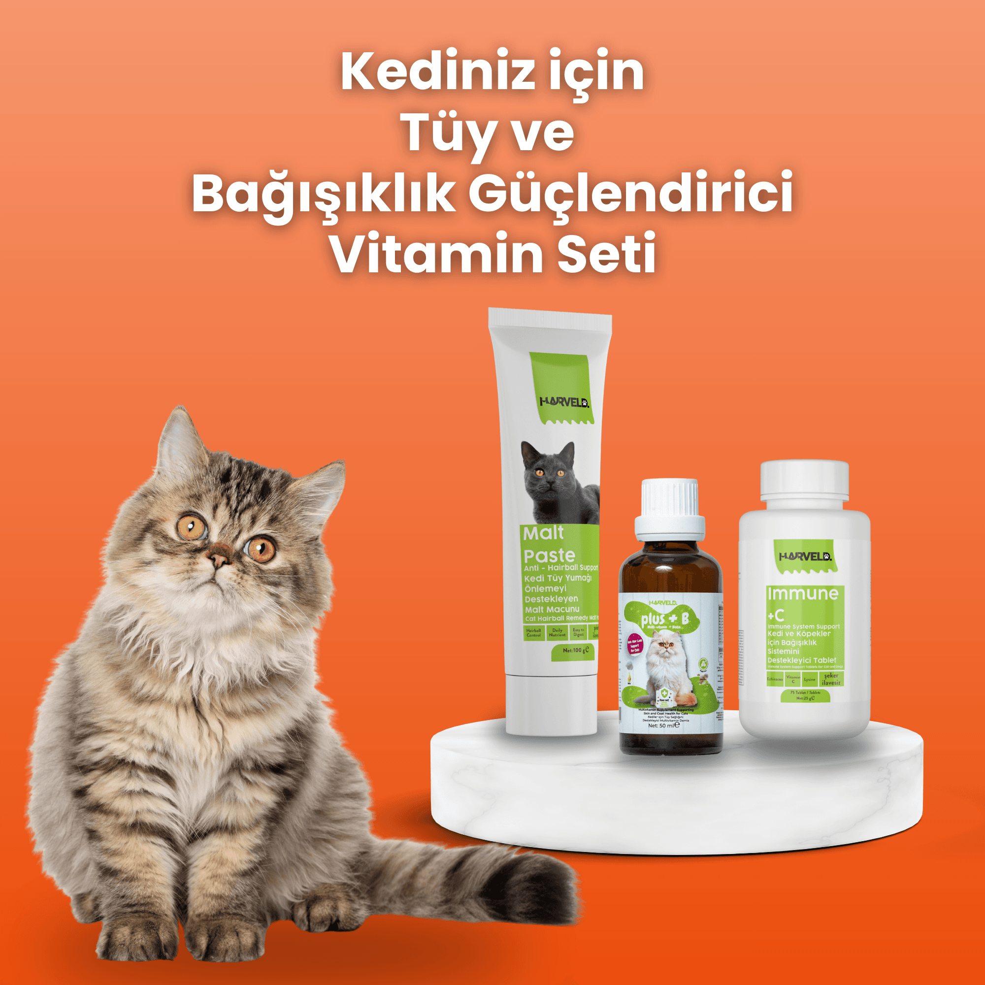  Kedi Tüy ve Bakım 3'lü Kedi Bakım Set Malt Past - Plus B - Immune C 