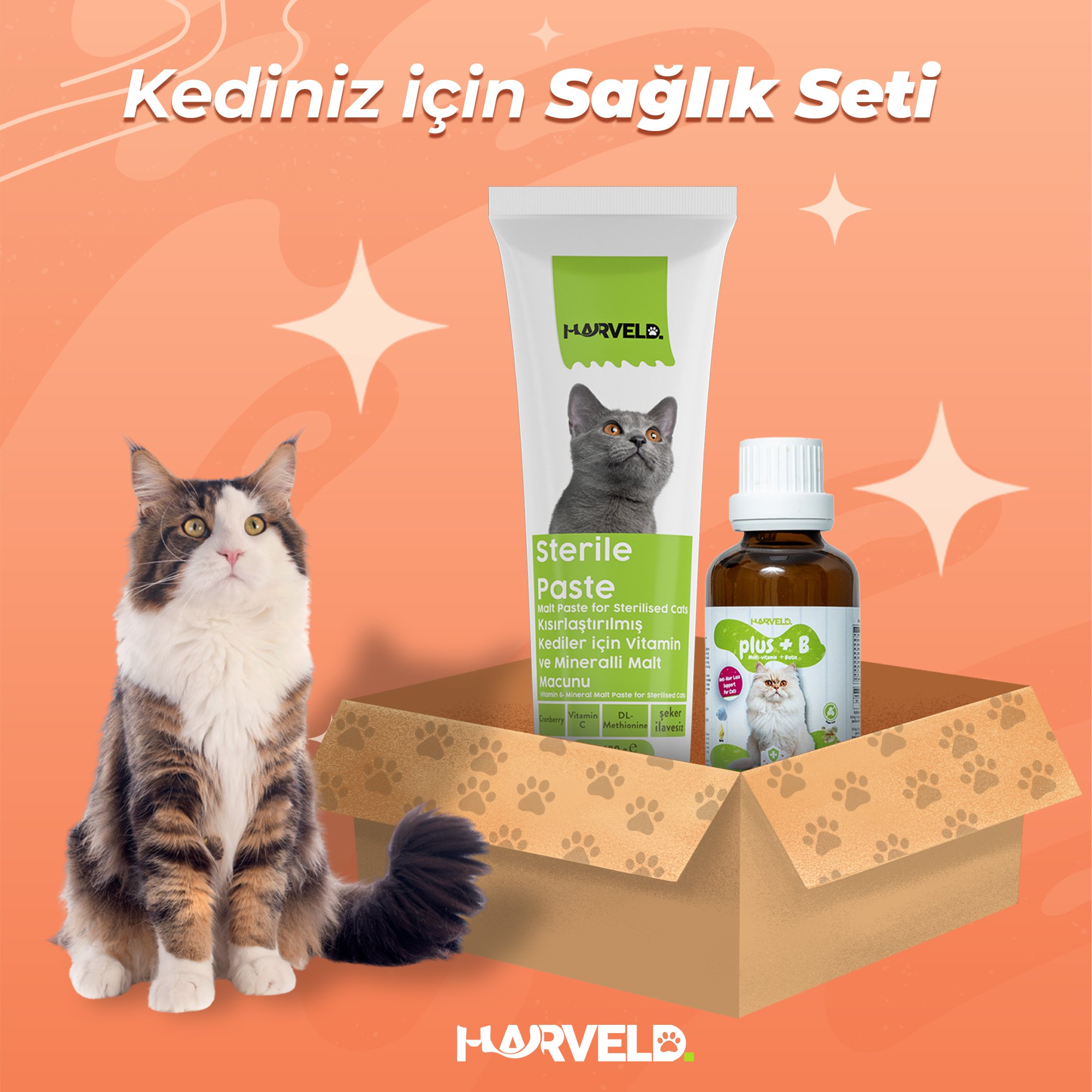 Harveld Kısırlaştırılmış Kediniz İçin Bağışıklık Güçlendirici ve Tüy ve Deri Desteği Tam Bakım Seti:  Sterile Paste + Plus B Damla